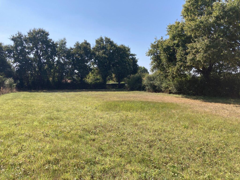 Vente – Terrain à bâtir / 1430m²