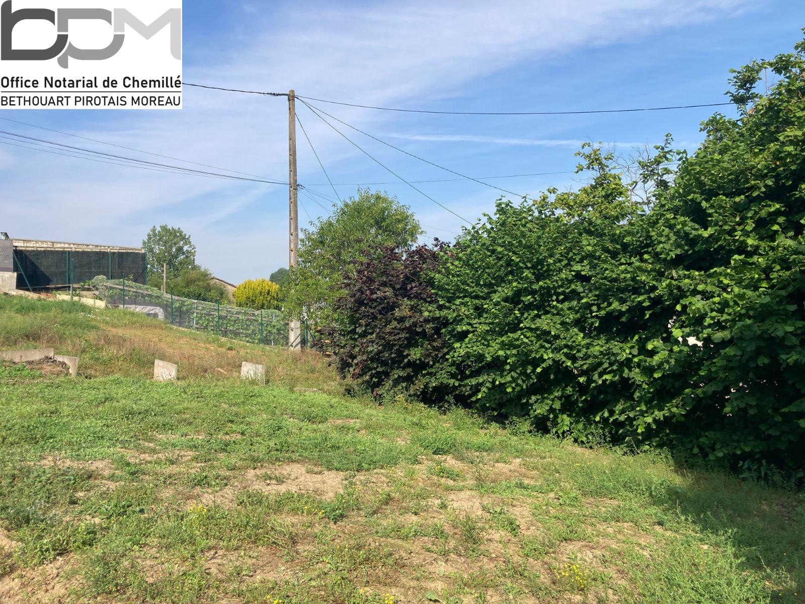 w17279610658739516_1727961645624